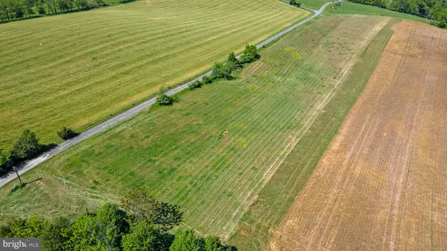 a view of swimming pool
