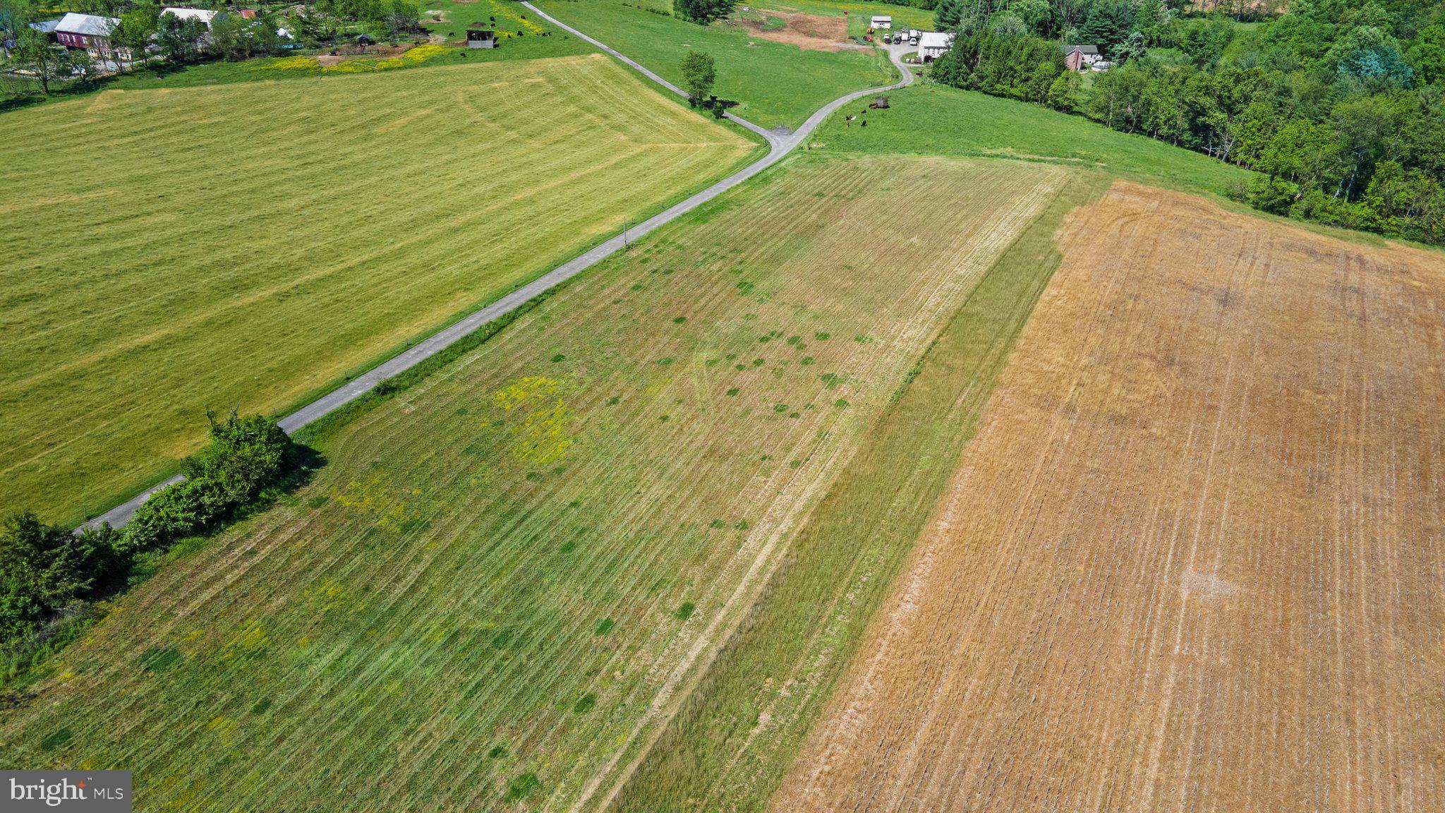 2341 Cross Section Road Westminster, MD 21158 - Photo 27 of 31 a view of a yard