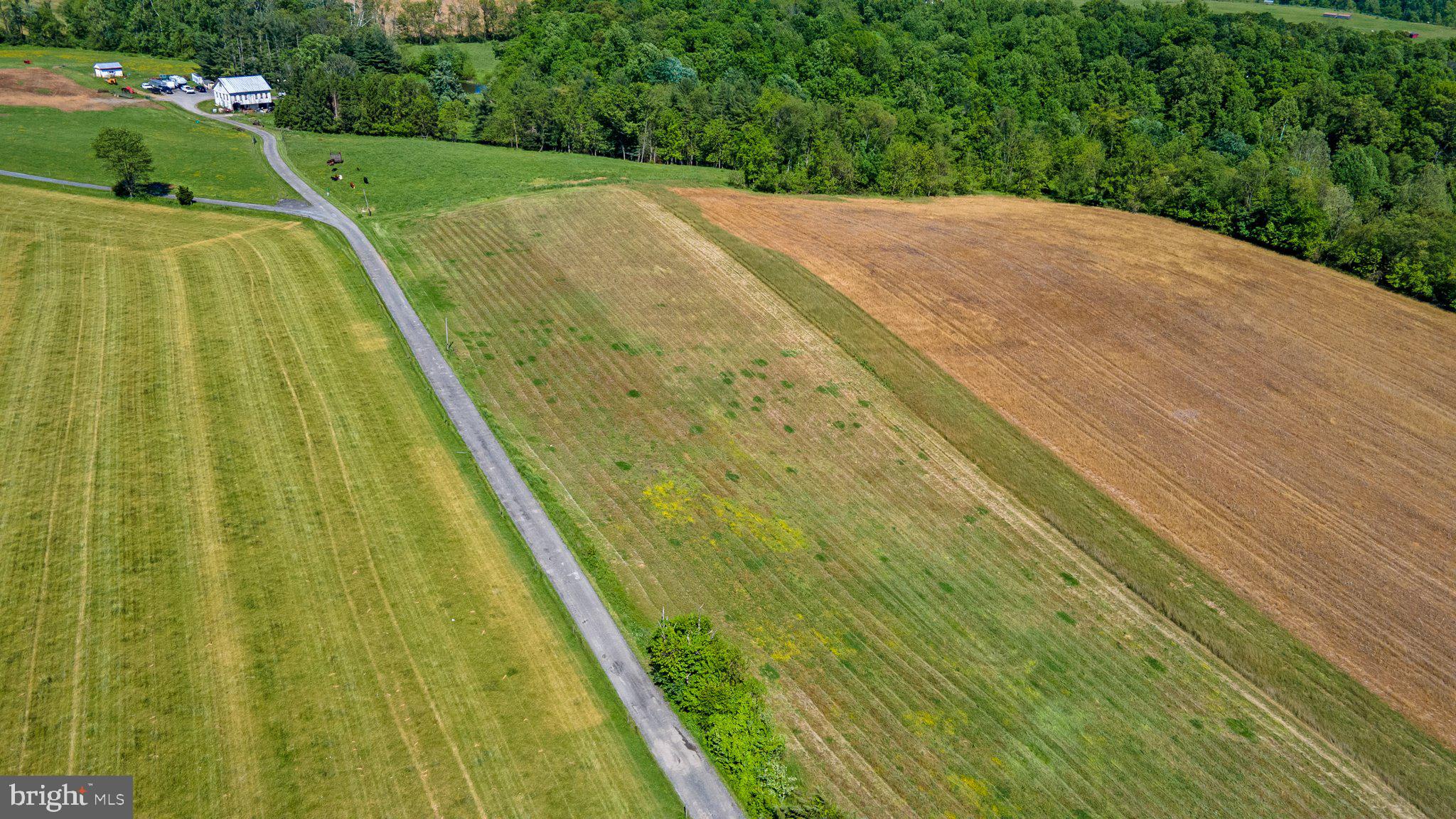 2341 Cross Section Road Westminster, MD 21158 - Photo 28 of 31 a view of swimming pool