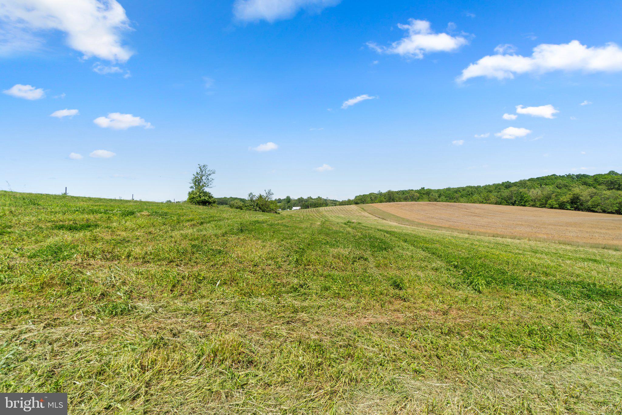 2341 Cross Section Road Westminster, MD 21158 - Photo 3 of 31 a view of an ocean and a yard