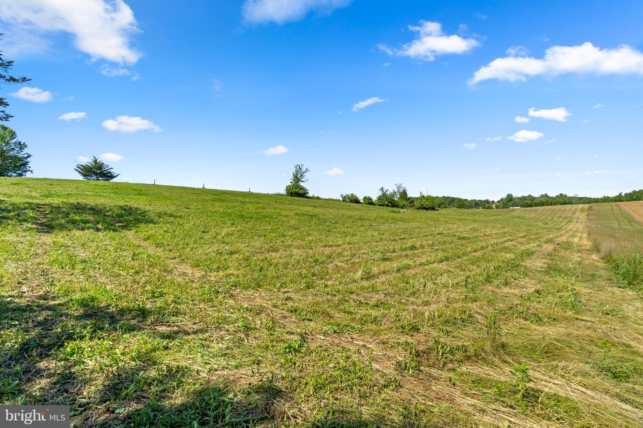 2341 Cross Section Road Westminster, MD 21158 - Photo 4 of 31 a view of an ocean and a yard