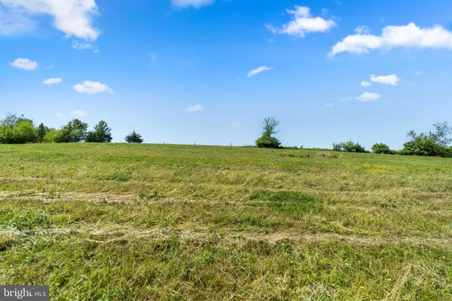 a view of a big yard