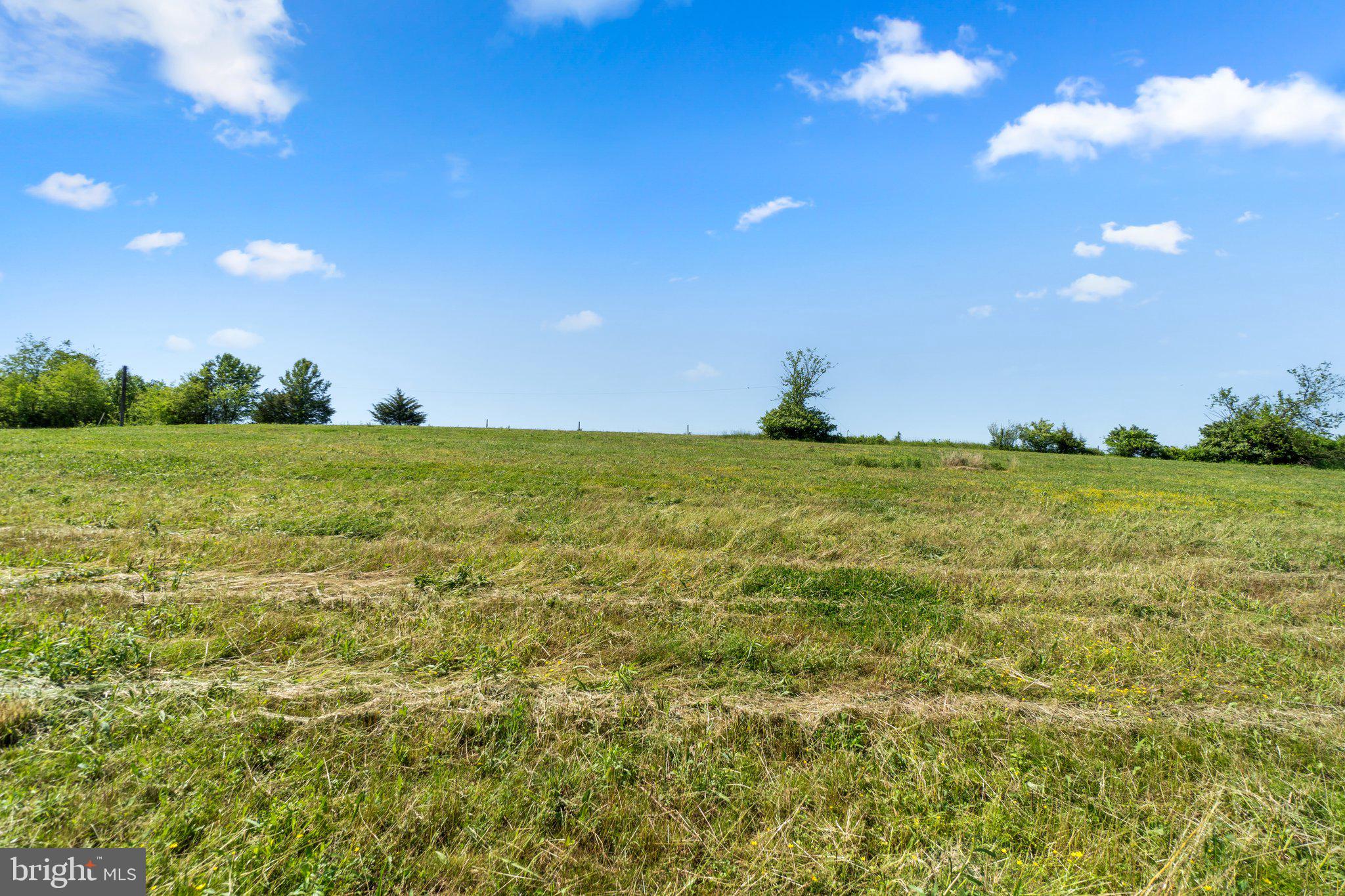2341 Cross Section Road Westminster, MD 21158 - Photo 5 of 31 a view of a big yard