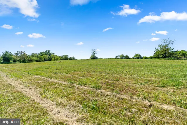 a view of a field with an trees in the background