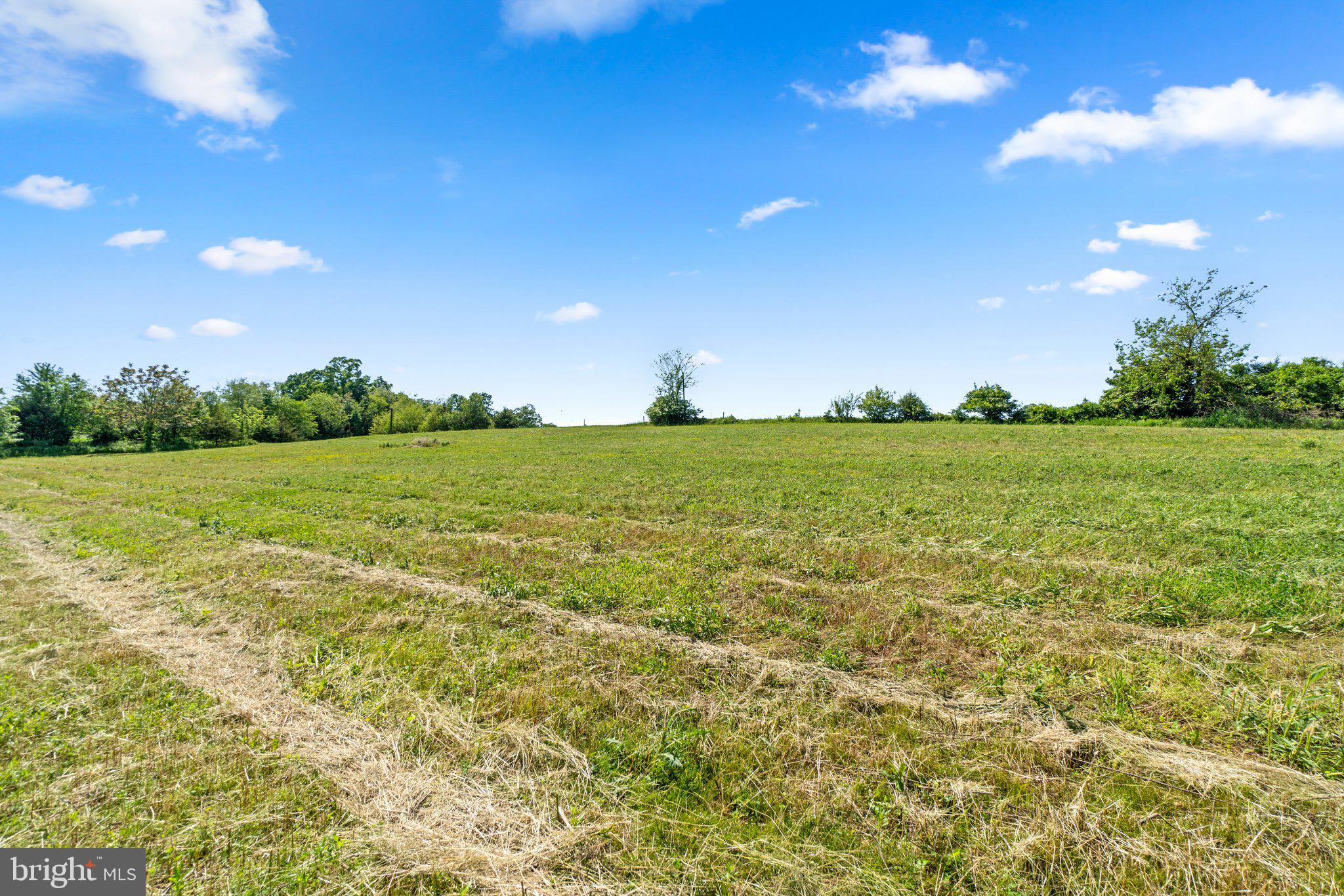 2341 Cross Section Road Westminster, MD 21158 - Photo 6 of 31 a view of a field with an trees in the background