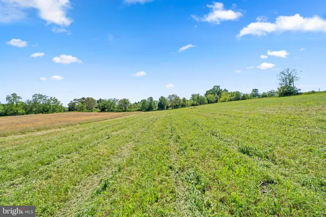 a view of a field with an trees in the background