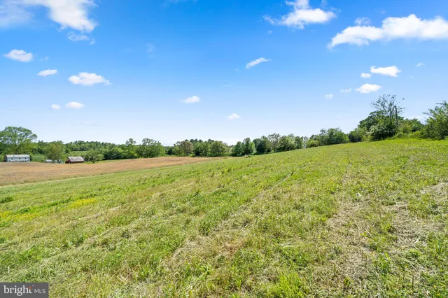 a view of a field with an ocean