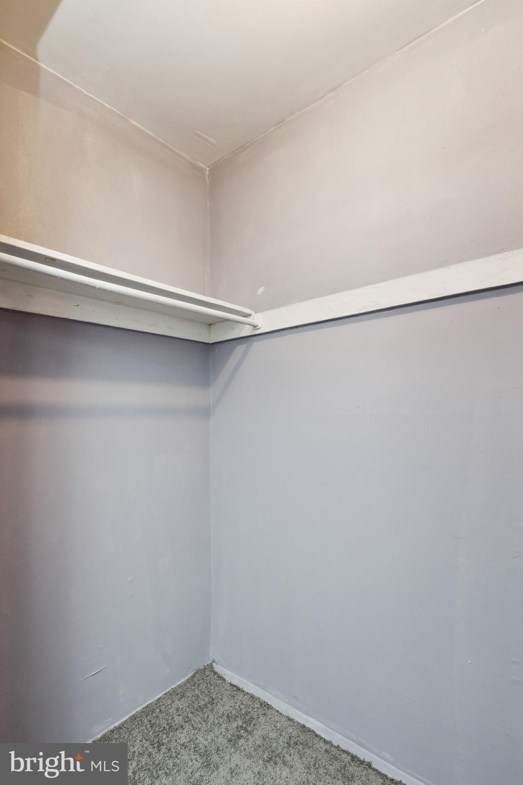 7979 Riggs Road, Unit 5 Hyattsville, MD 20783 - Photo 23 of 30 closet