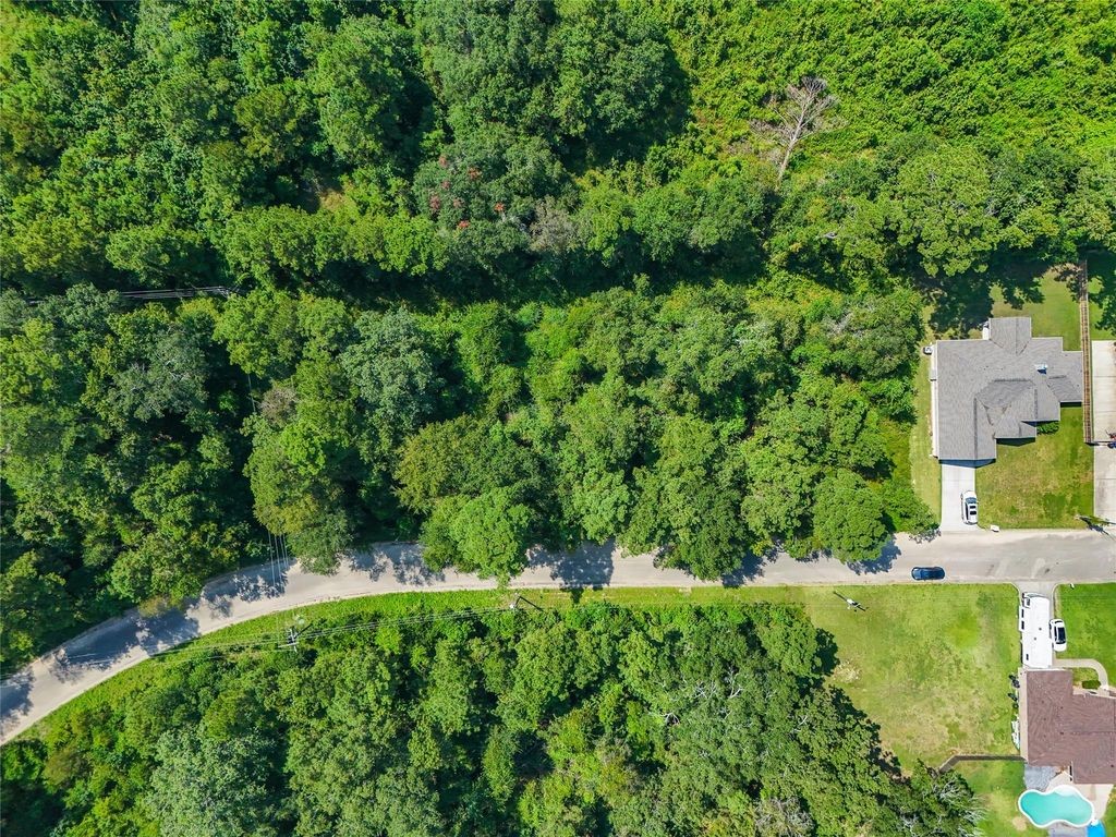 Tbd Lot 16 Tbd Lane Splendora, TX 77372 - Photo 6 of 10 Natural wooded homesite with room for custom construction, outdoor living, or long-term investment. Quiet setting with convenient proximity to schools, shopping, and highway access.