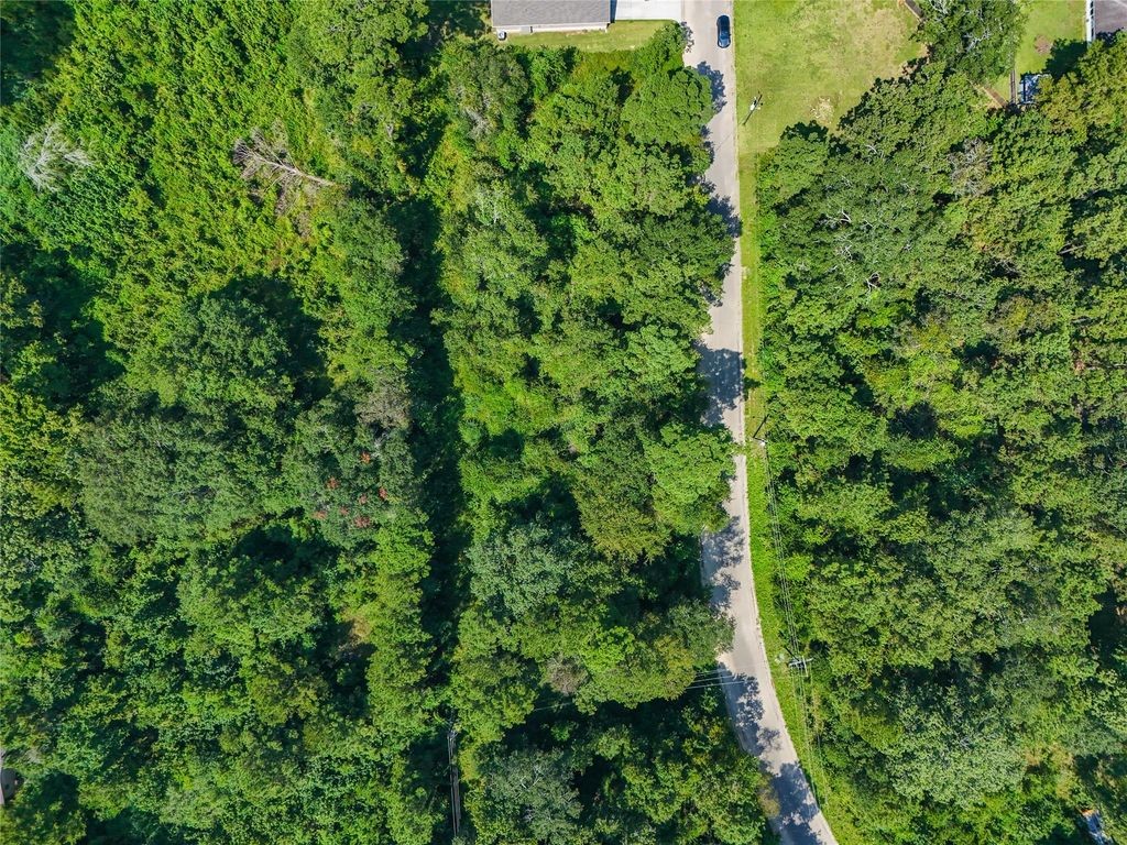 Tbd Lot 16 Tbd Lane Splendora, TX 77372 - Photo 8 of 10 a view of a lush green forest