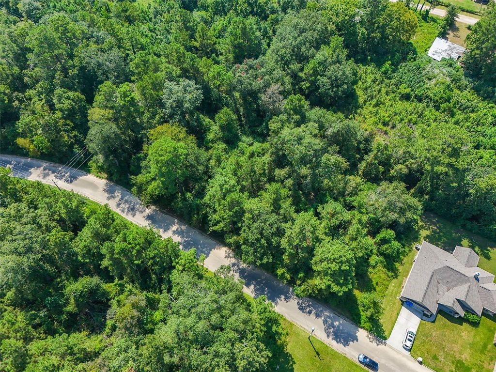 Tbd Lot 16 Tbd Lane Splendora, TX 77372 - Photo 10 of 10