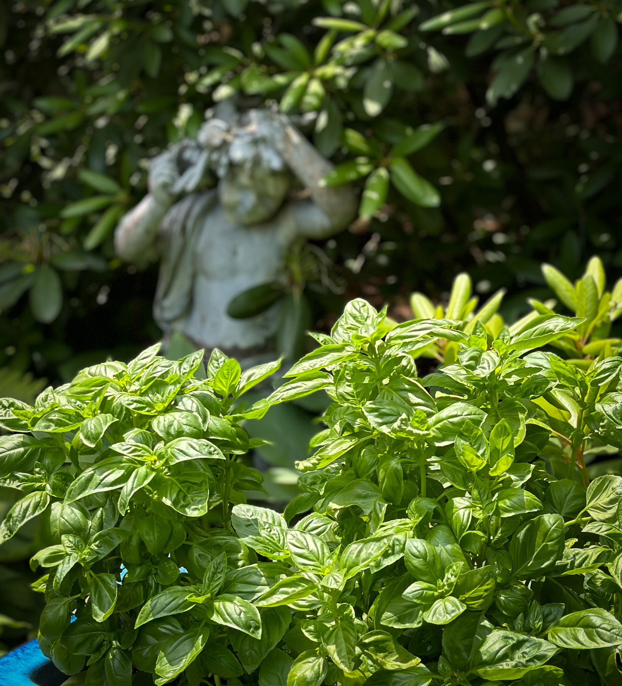 41 Pleasant Street Woodstock, VT 05091 - Photo 12 of 53