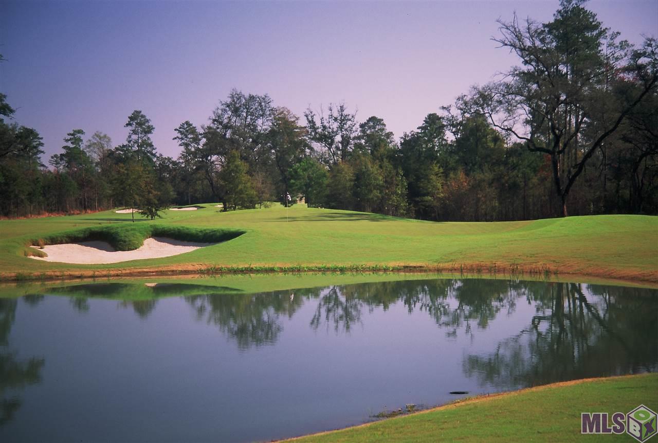 Lot 105 Monarch Point Springfield, LA 70462 - Photo 3 of 6