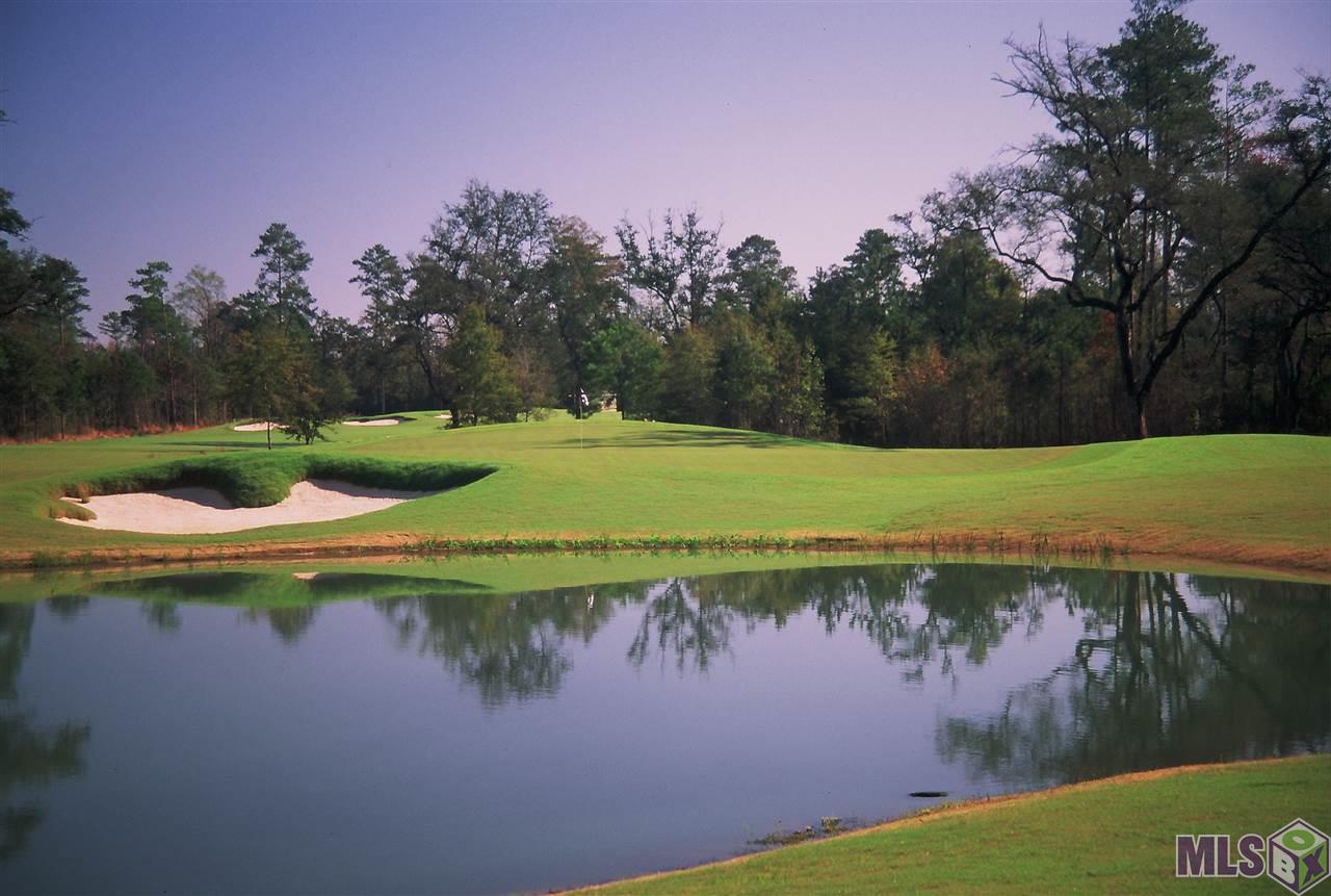 Lot 105 Monarch Point Springfield, LA 70462 - Photo 4 of 6