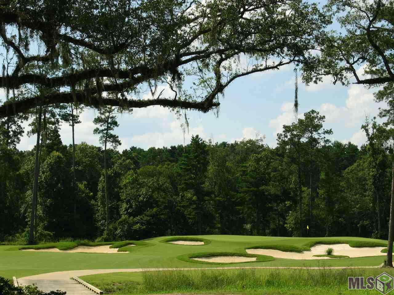 Lot 105 Monarch Point Springfield, LA 70462 - Photo 6 of 6