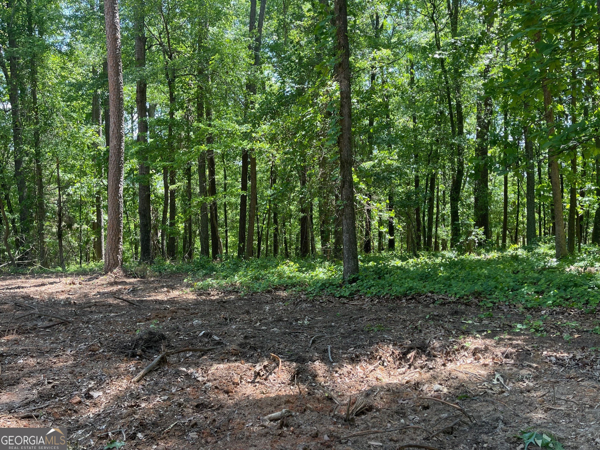 Tract 3 Chalcrest Way Cave Spring, GA 30124 - Photo 10 of 54 Gallery Image 10