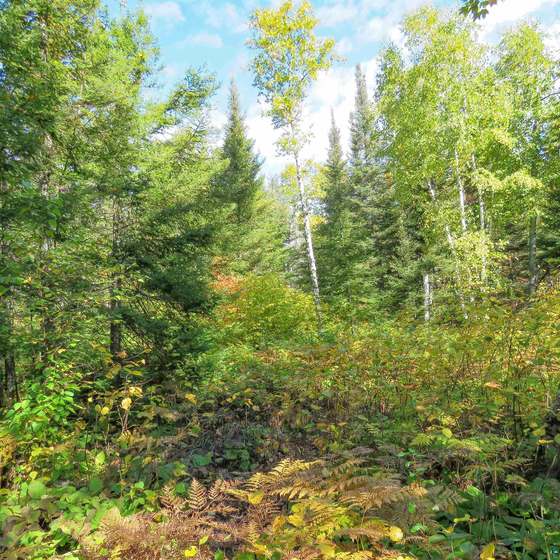 435 Cramer Road Schroeder, MN 55613 - Photo 17 of 59 Gallery Image 17