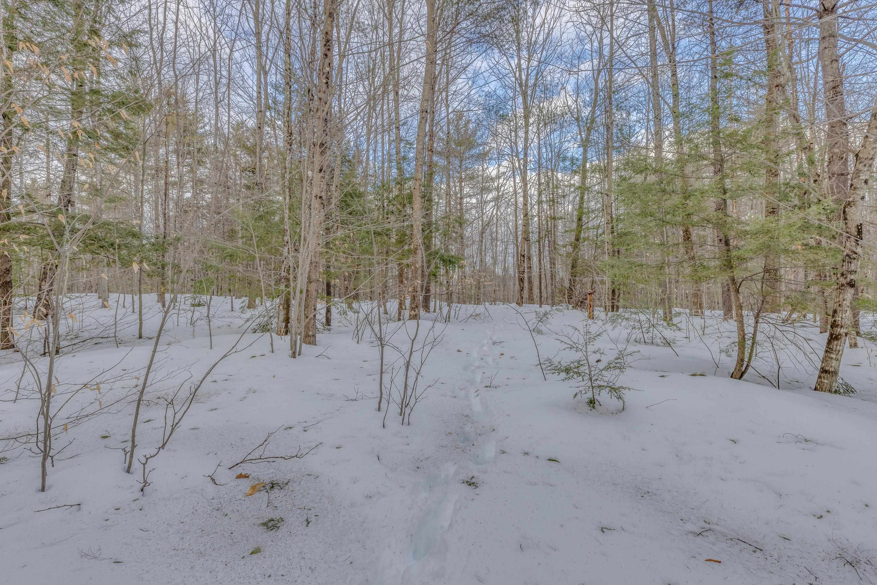 Washburn Road, Unit 4102 Alexandria, NH 03222 - Photo 3 of 17 Gallery Image 3