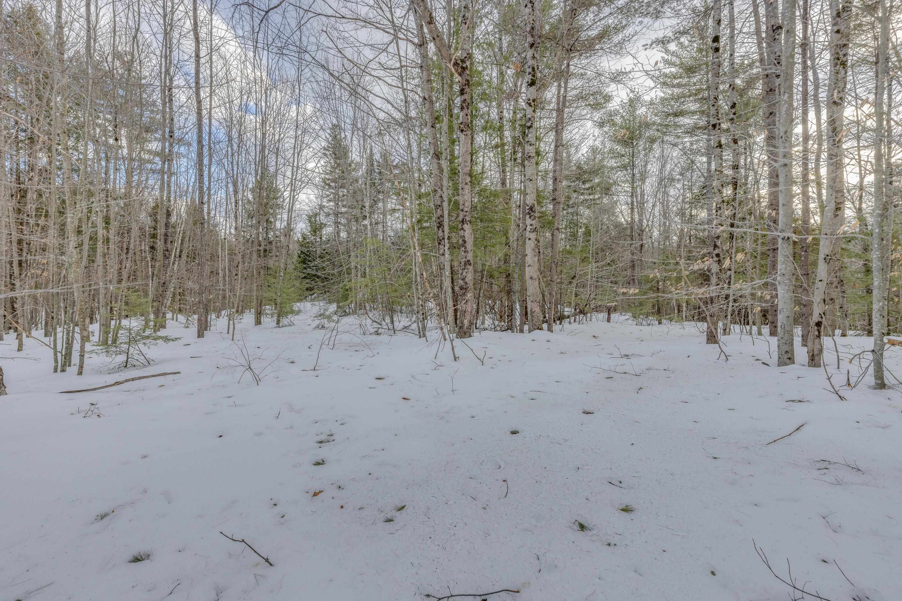 Washburn Road, Unit 4102 Alexandria, NH 03222 - Photo 4 of 17 Gallery Image 4