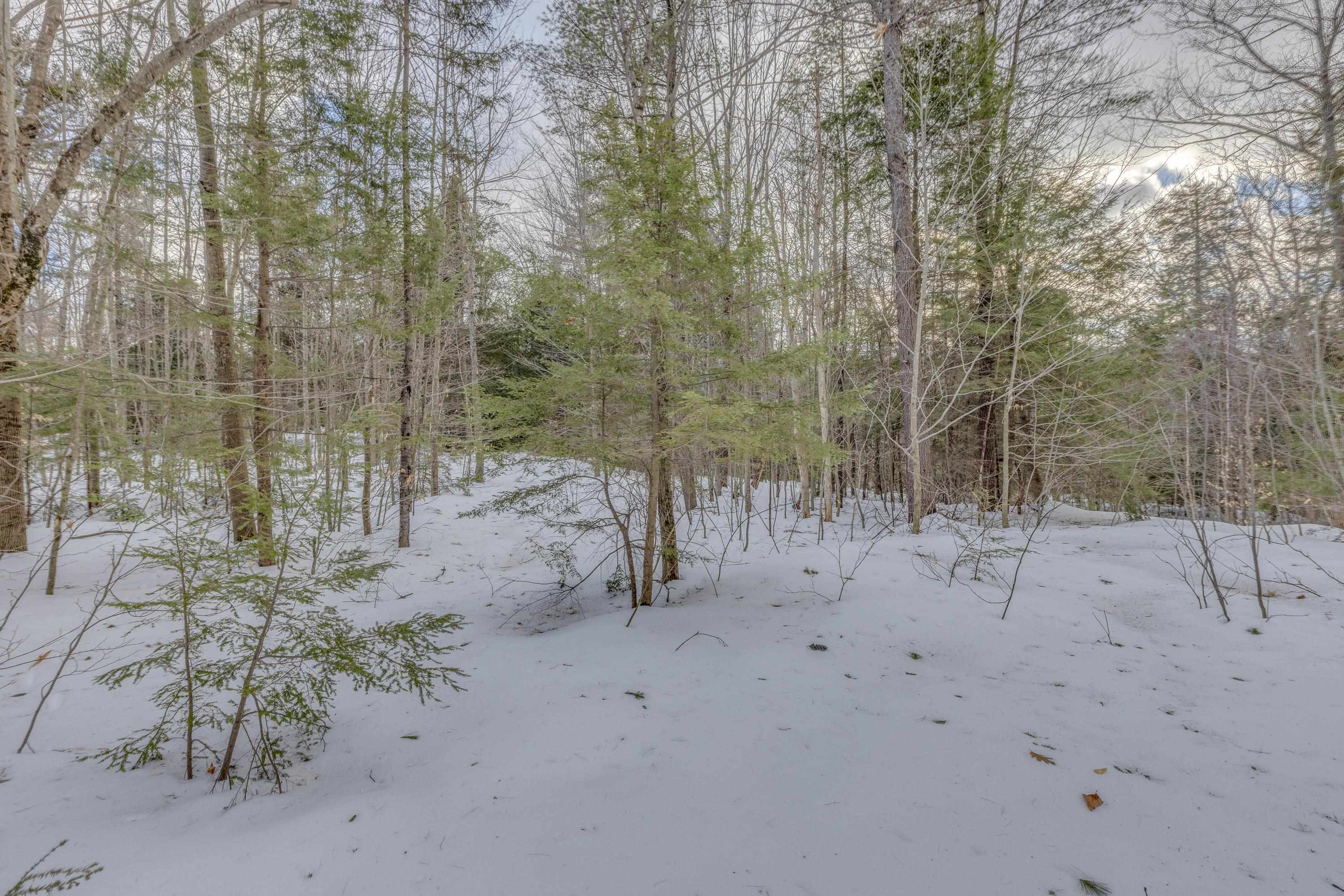 Washburn Road, Unit 4102 Alexandria, NH 03222 - Photo 5 of 17 Gallery Image 5