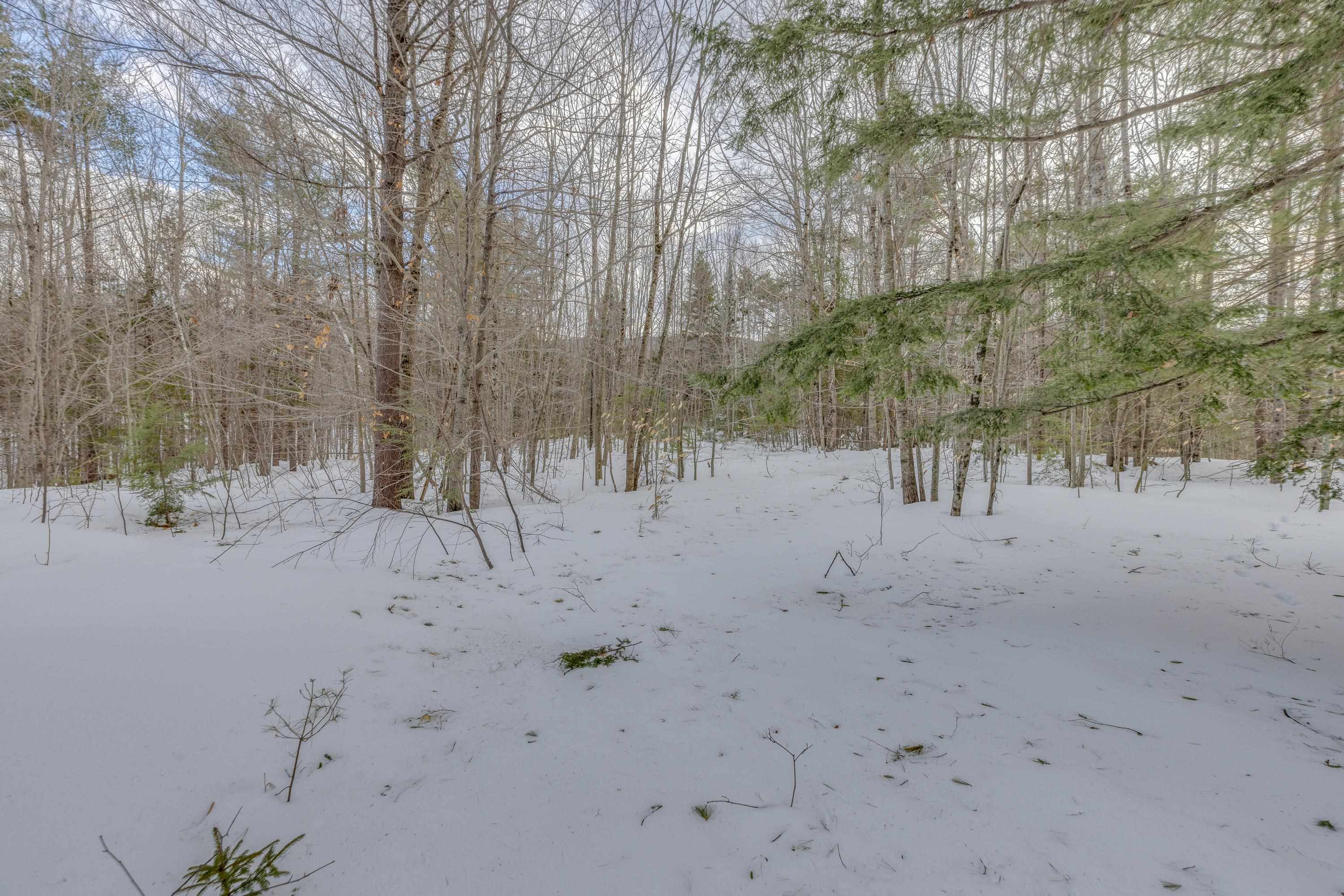 Washburn Road, Unit 4102 Alexandria, NH 03222 - Photo 6 of 17 Gallery Image 6