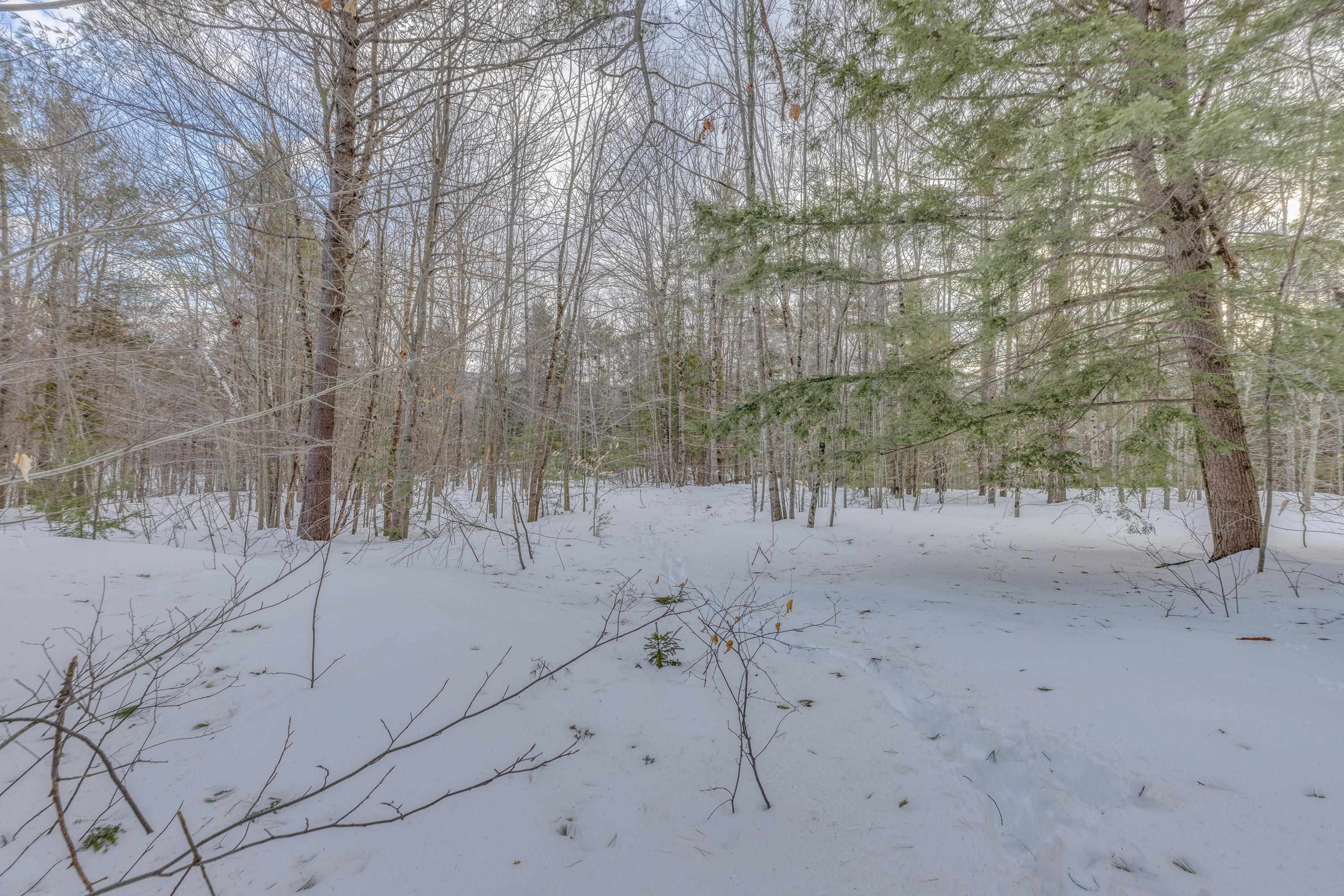 Washburn Road, Unit 4102 Alexandria, NH 03222 - Photo 10 of 17 Gallery Image 10