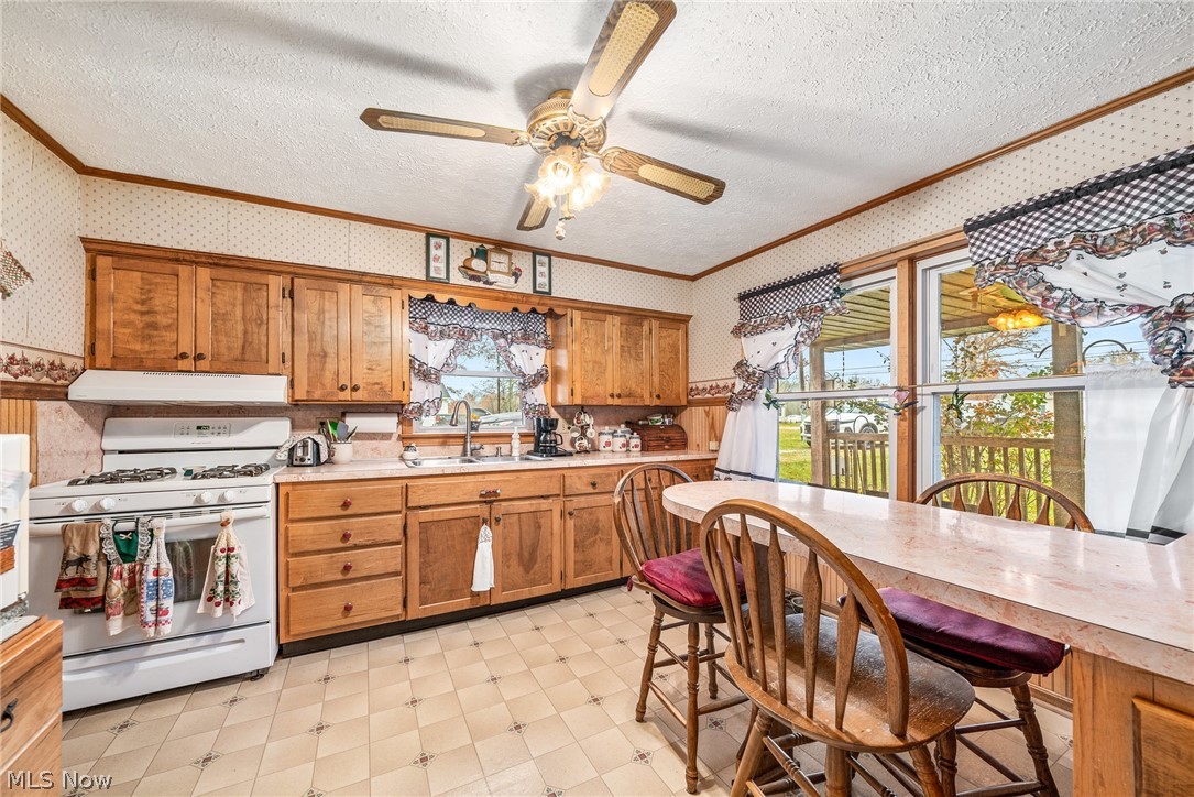 835 North Johnson Road Sebring, OH 44672 - Photo 5 of 22 Gallery Image 5