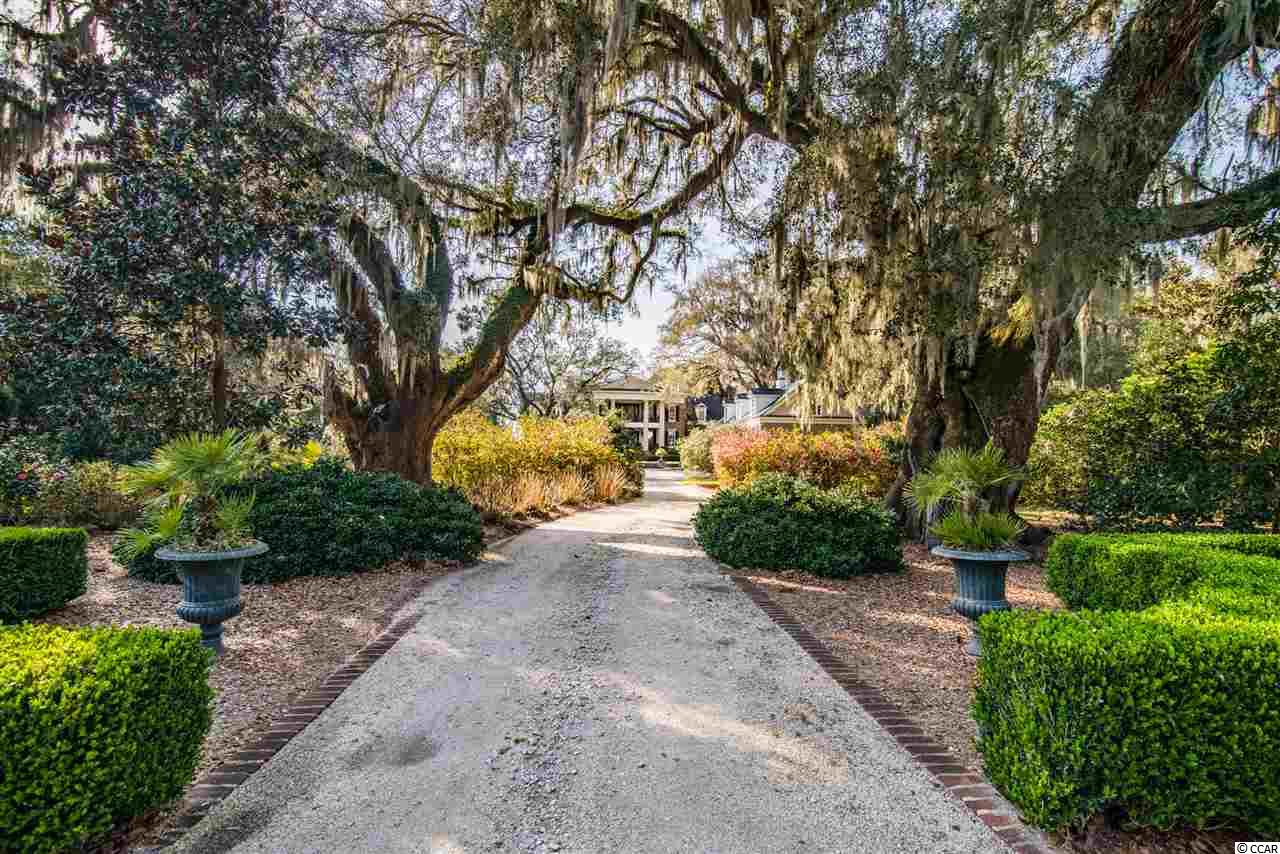4 Lower Waverly Road Pawleys Island, SC 29585 - Photo 3 of 40 Gallery Image 3