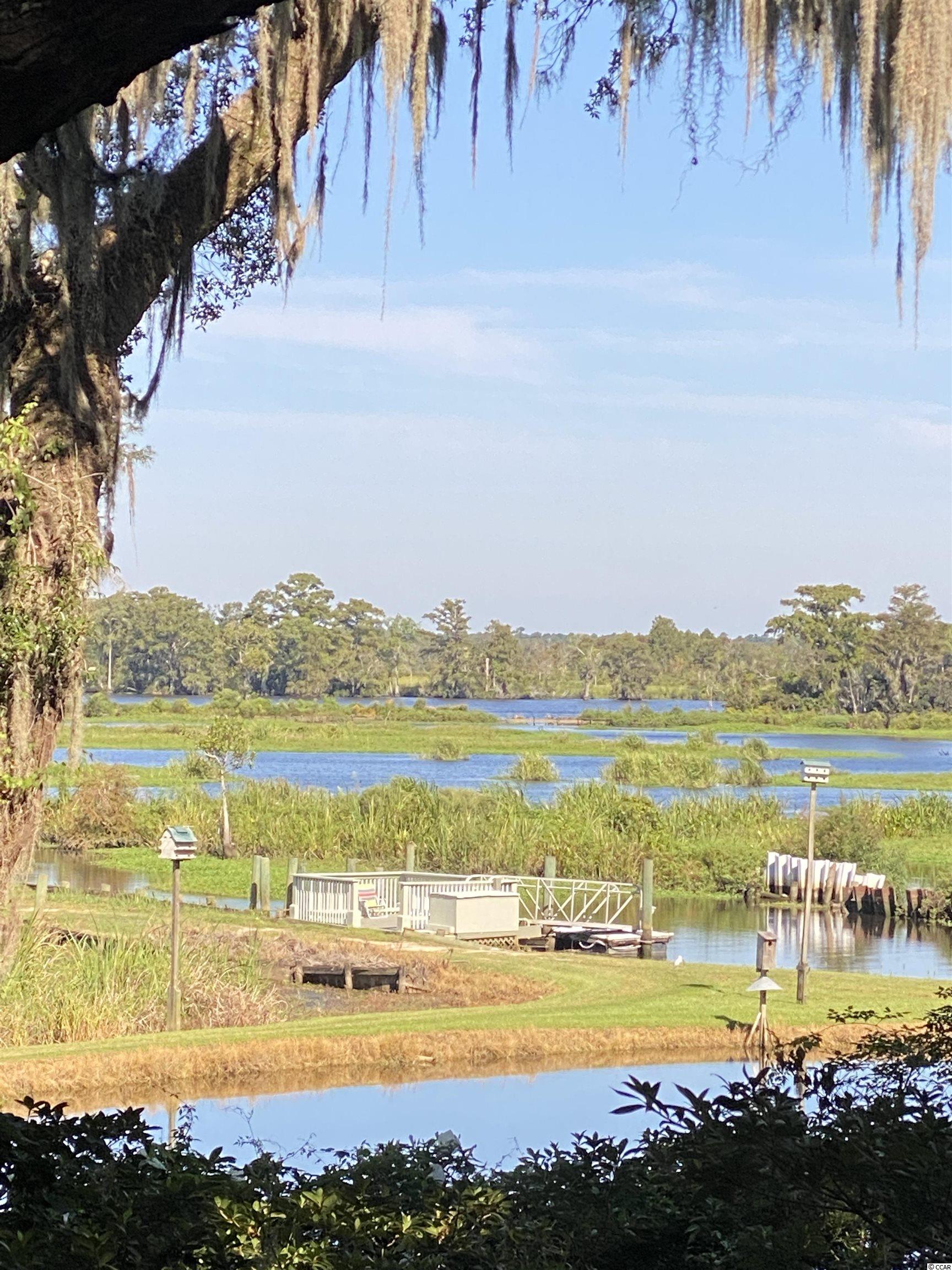 4 Lower Waverly Road Pawleys Island, SC 29585 - Photo 32 of 40 Gallery Image 32