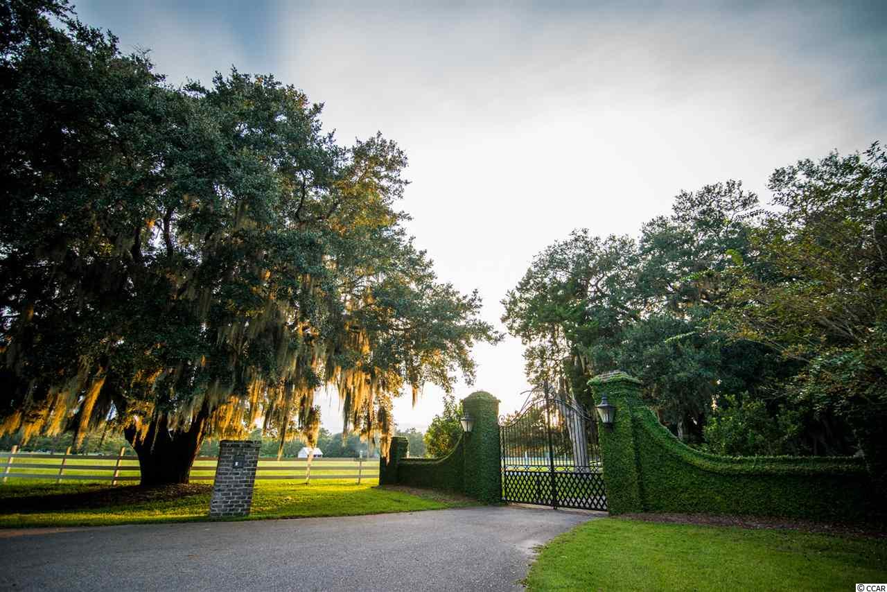 4 Lower Waverly Road Pawleys Island, SC 29585 - Photo 40 of 40 Gallery Image 40