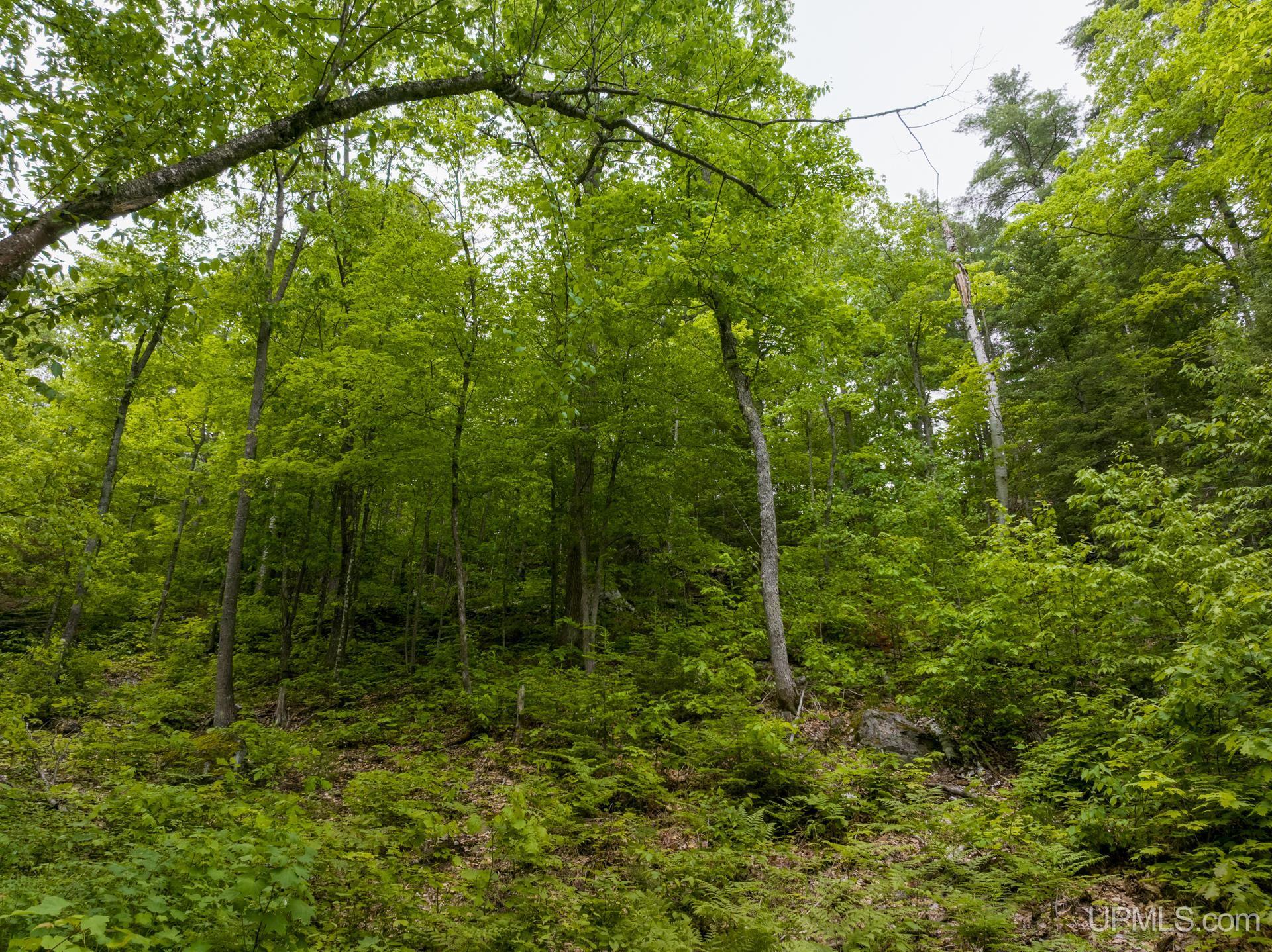 Tbd Tbd Co Road Negaunee, MI 49866 - Photo 31 of 47