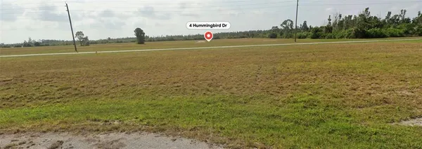 a view of a field with grass