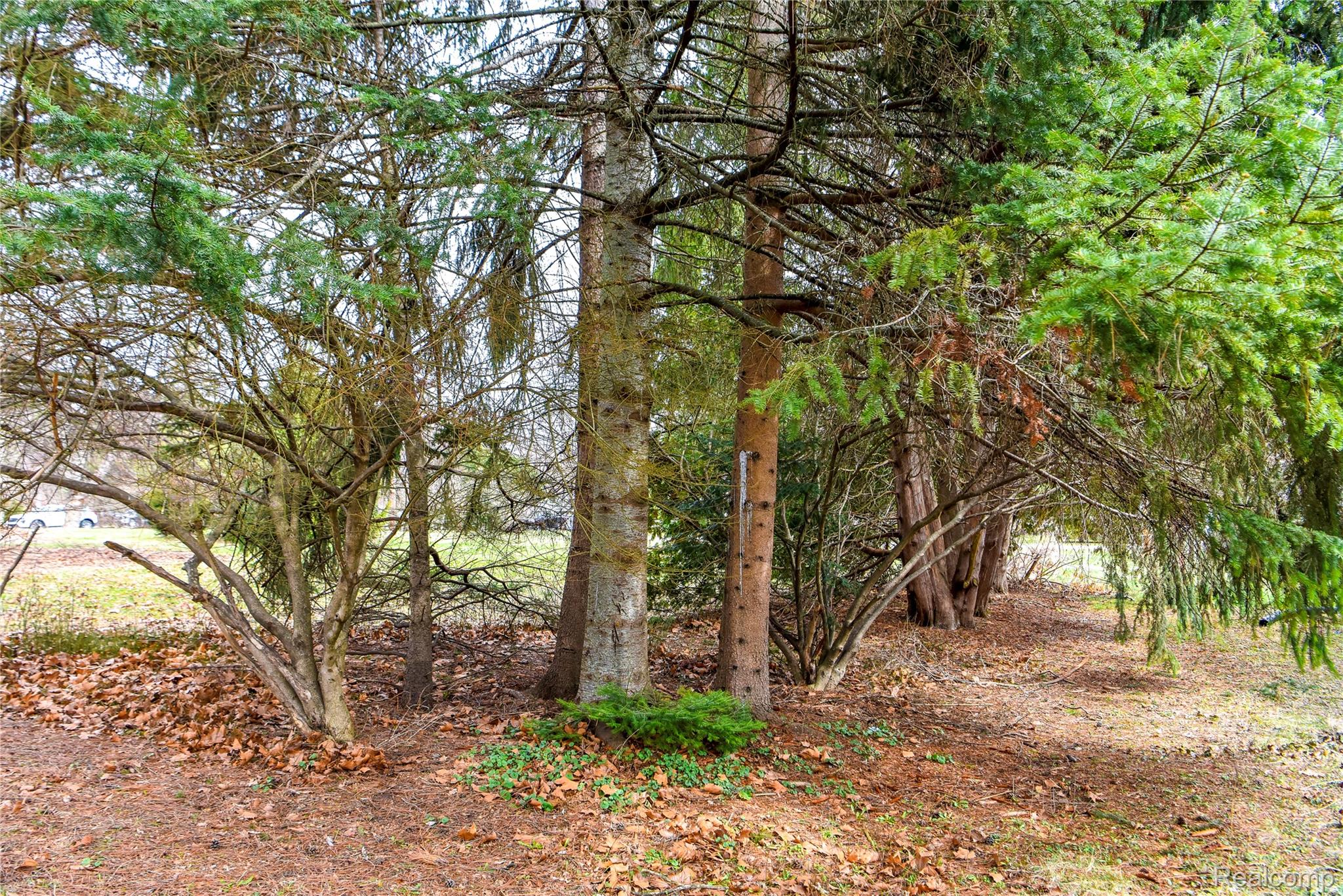 Lot 64 Merry Road Waterford, MI 48328 - Photo 5 of 26 1493 Vacant Lot for MLS (5).jpg