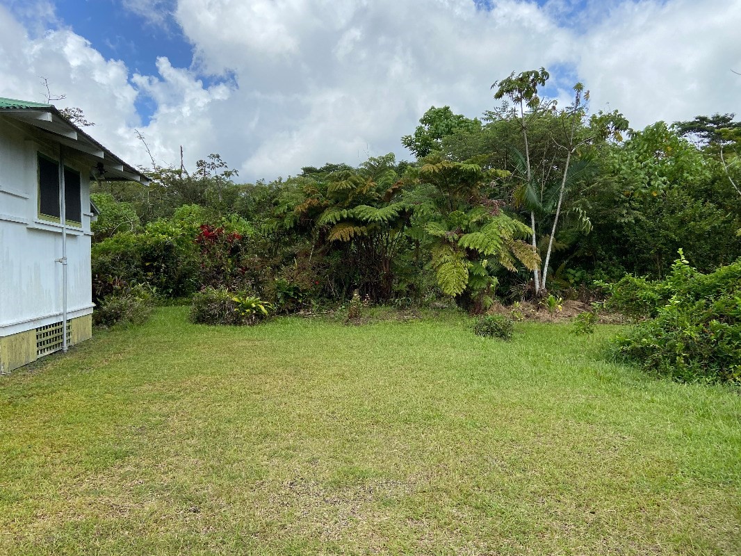 17-324 Volcano Road Kurtistown, HI 96749 - Photo 4 of 30 a backyard of a house with lots of green space