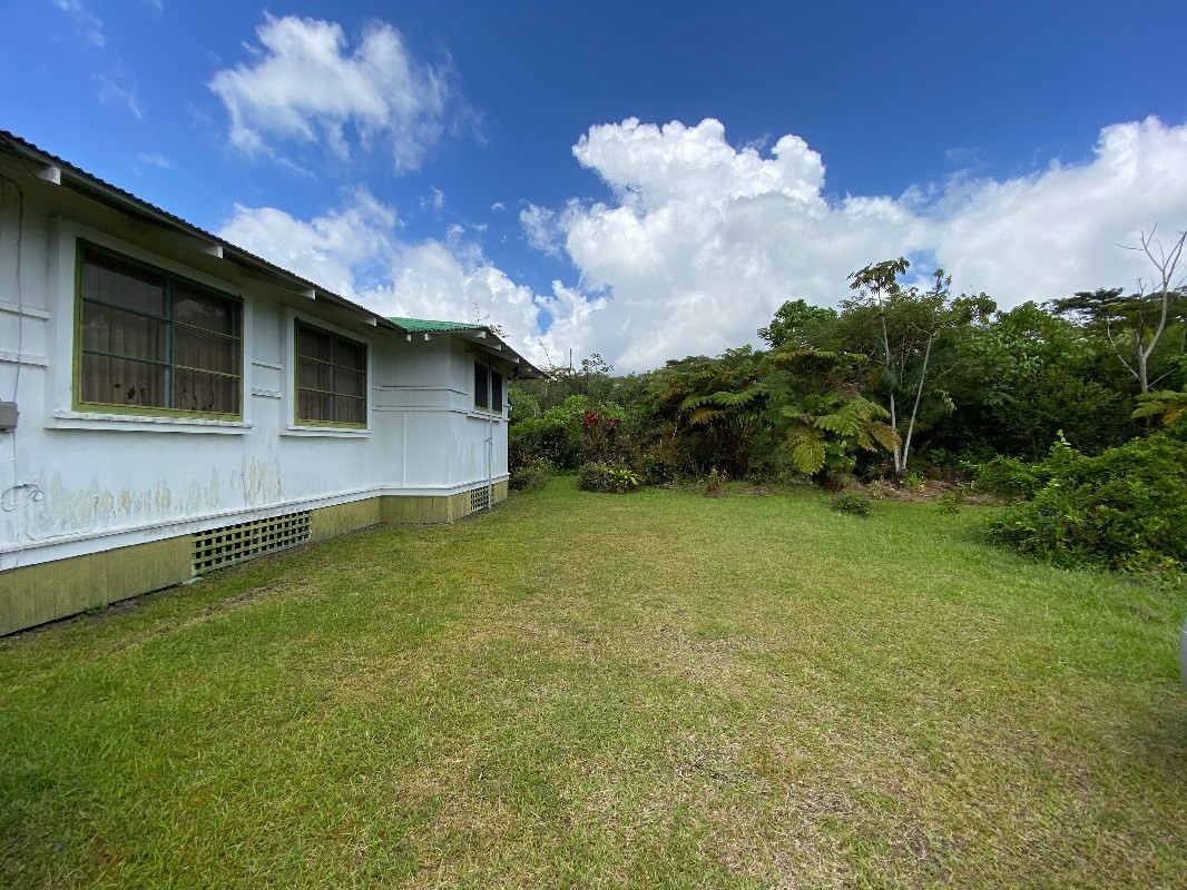 17-324 Volcano Road Kurtistown, HI 96749 - Photo 5 of 30 a backyard of a house with lots of green space