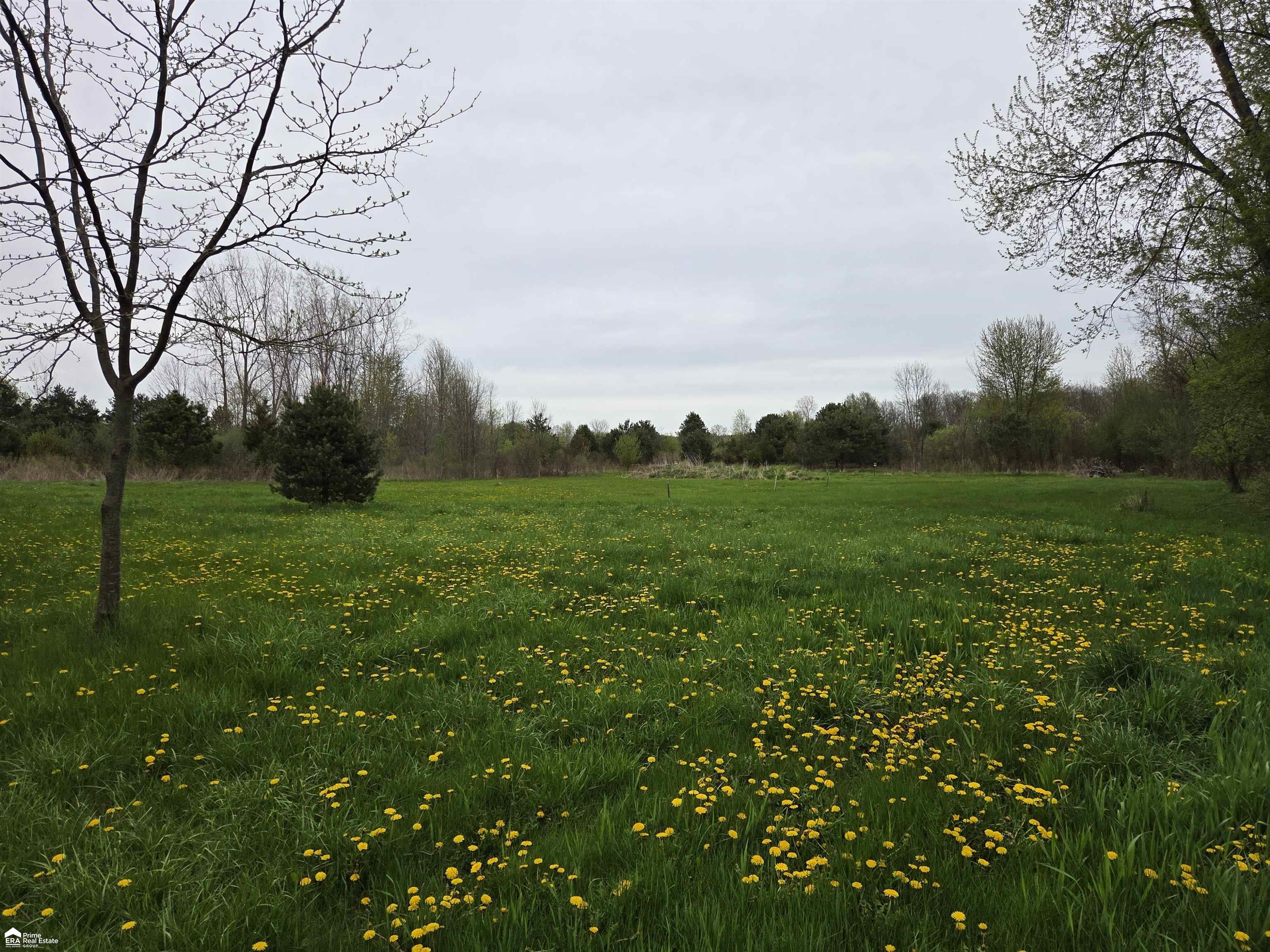 11144 North Lewis Road Clio, MI 48420 - Photo 3 of 5