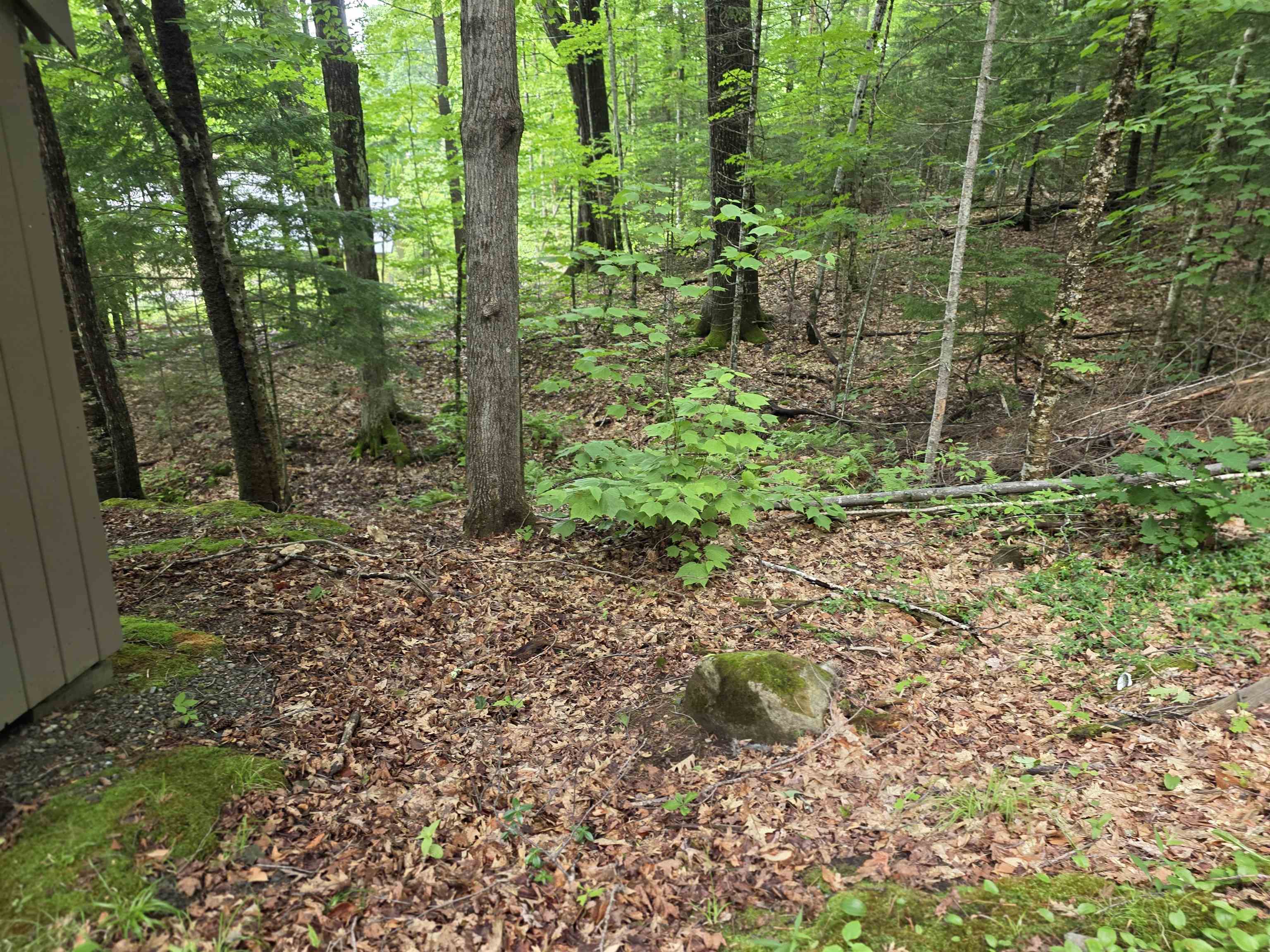 429 Perch Pond Road Campton, NH 03223 - Photo 39 of 41