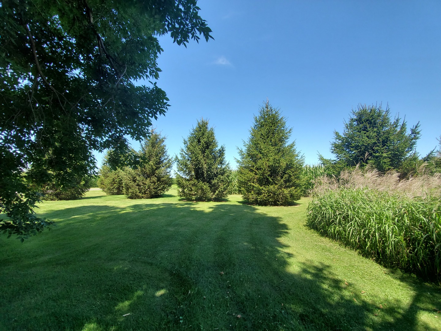 2502 Tower Road West Brooklyn, IL 61378 - Photo 25 of 26 a view of a grassy field with trees