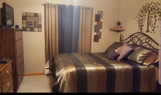 2502 Tower Road West Brooklyn, IL 61378 - Photo 8 of 26 a bedroom with a bed and a flat tv screen on the dresser