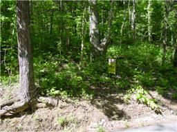 501 B Hickory Ridge Road Gallatin, TN 37066 - Photo 2 of 5 a backyard of a house with lots of green space