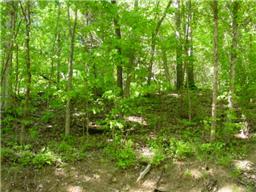 501 B Hickory Ridge Road Gallatin, TN 37066 - Photo 3 of 5 a view of a lush green forest