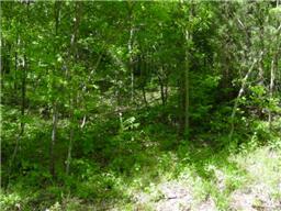 501 B Hickory Ridge Road Gallatin, TN 37066 - Photo 4 of 5 a view of a lush green forest