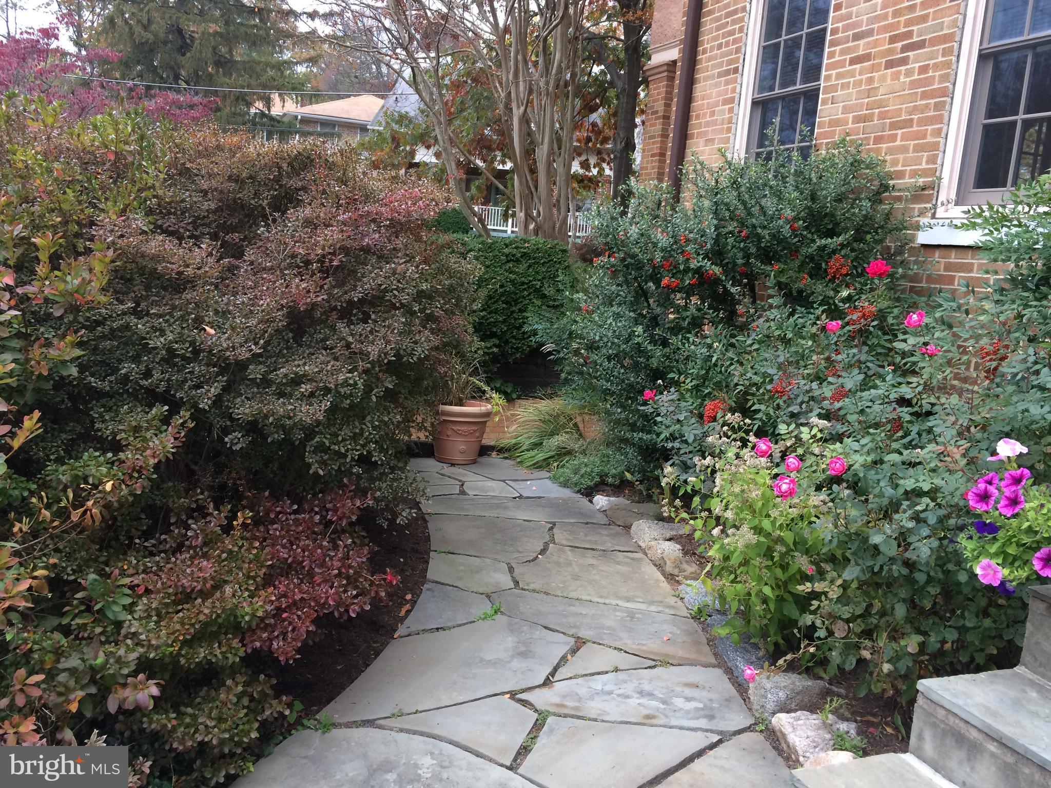 6111 Broad Branch Road Northwest Washington, DC 20015 - Photo 4 of 46 Garden Walkway at Front door