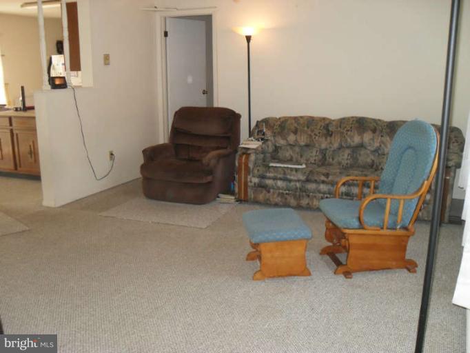2625 Dublin Road Street, MD 21154 - Photo 9 of 28 Living Room