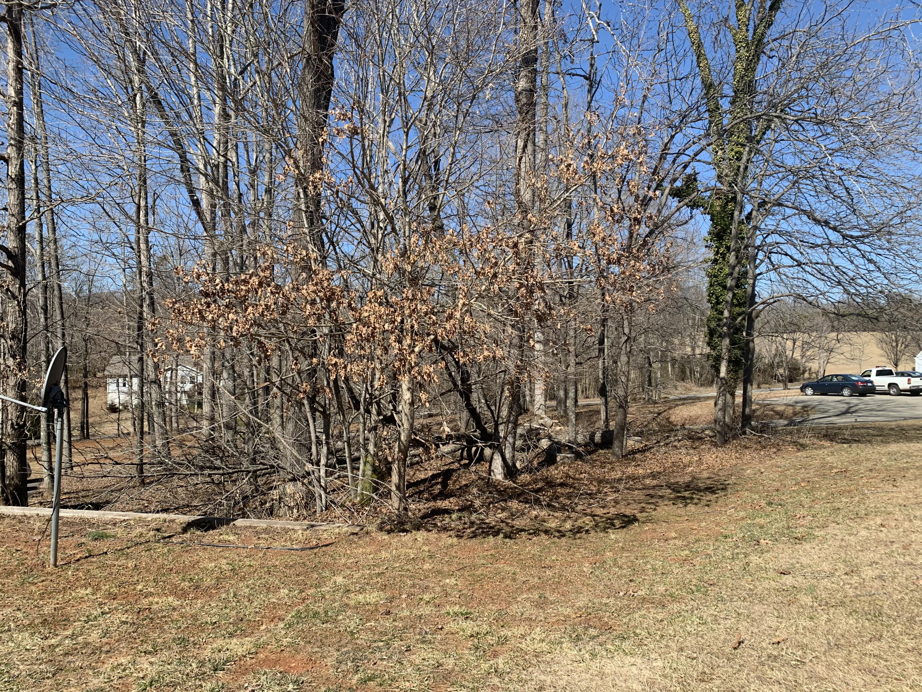 1178 Cutlass Road Moneta, VA 24121 - Photo 39 of 66 088F6ACA-6EB9-48D9-9DD9-A1A2DB140D9A