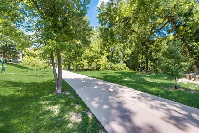 a view of a park with large trees