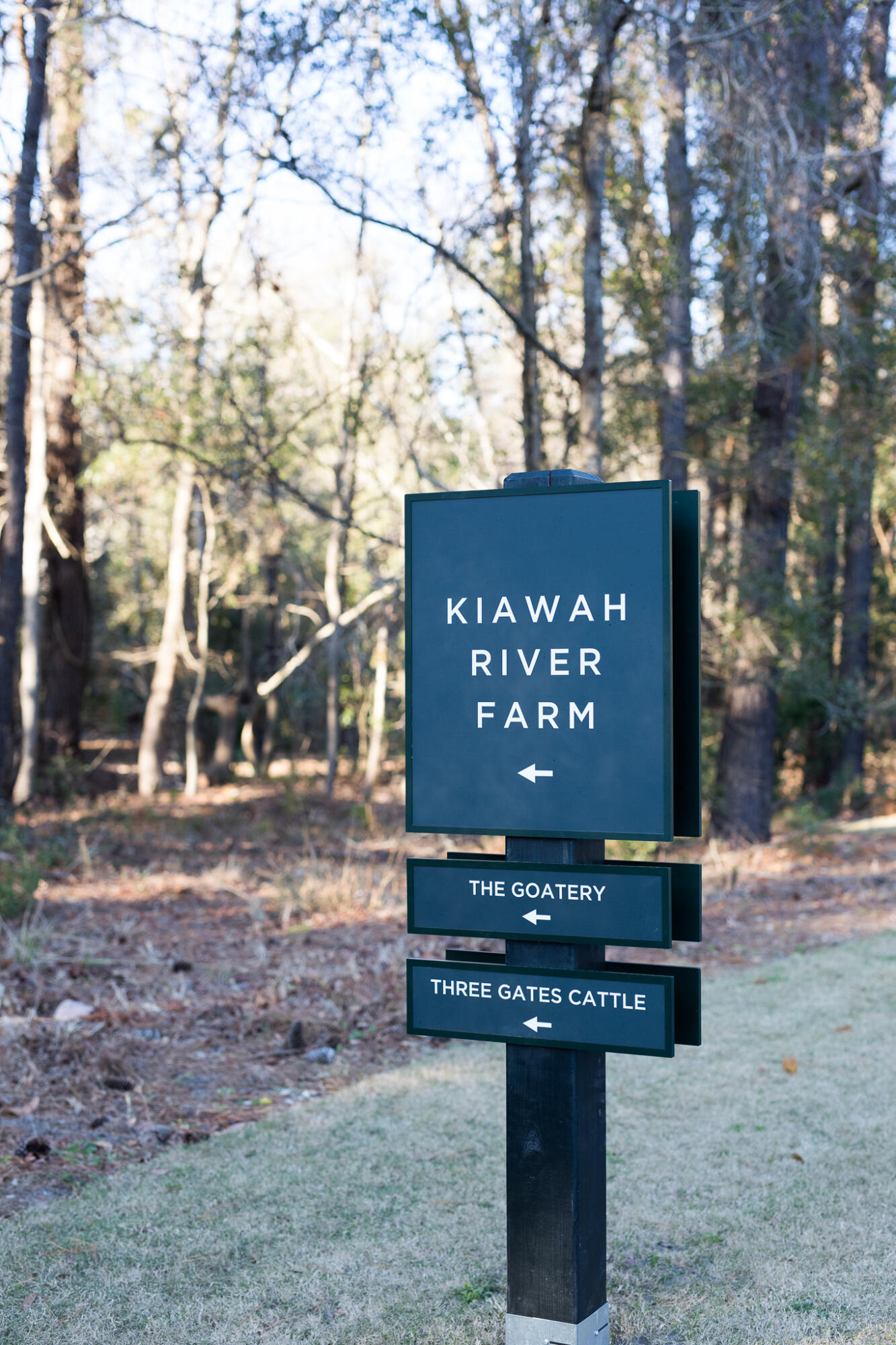 2547 Helmsman Road Johns Island, SC 29455 - Photo 49 of 56 2W1A1062