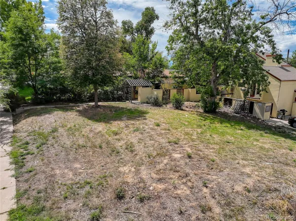 a view of a yard with a large trees