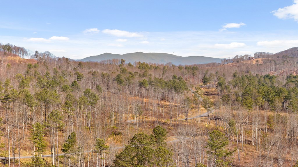 Lot 293 Twisted Oak Road Talking Rock, GA 30175 - Photo 20 of 46 Gallery Image 20