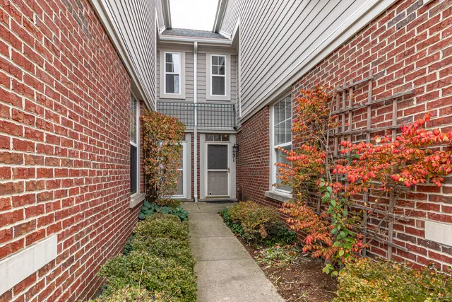 a pathway of a house with potted plants in front of door